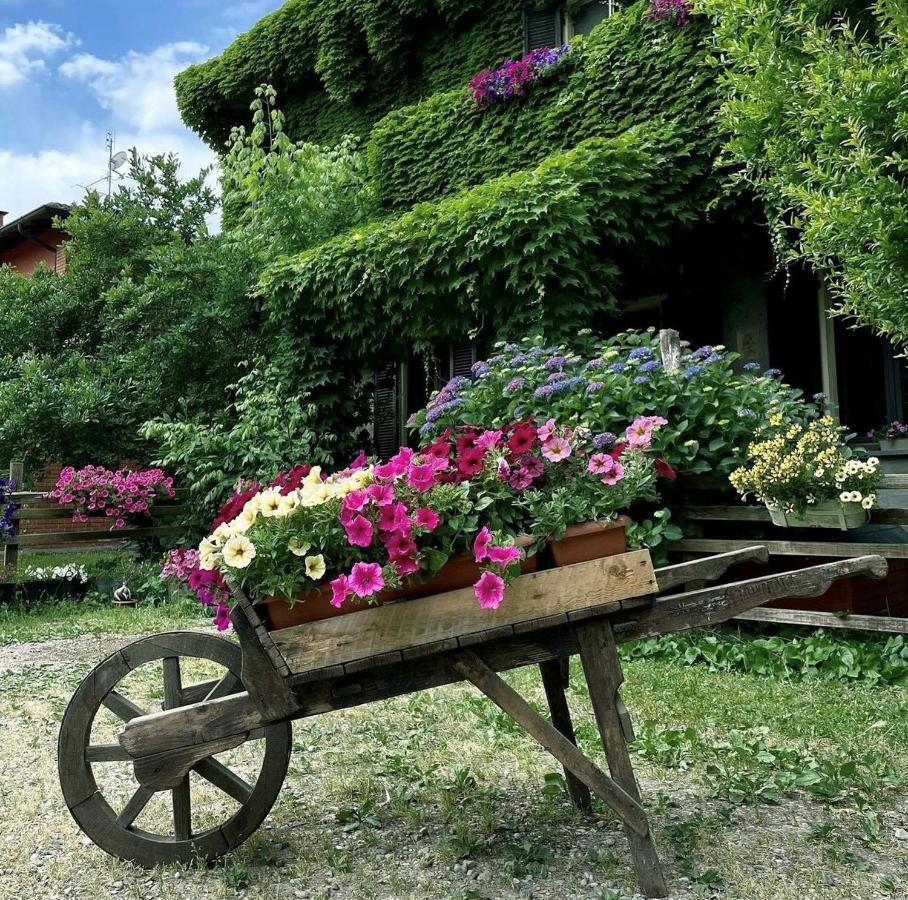 Agriturismo Cascina Selva Bed & Breakfast Ozzero Bagian luar foto